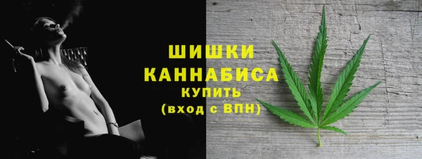 альфа пвп Заволжск