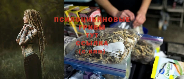 МДПВ Зеленодольск