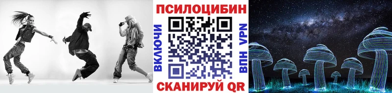 Купить где  Камень-на-Оби  Галлюциногенные грибы прущие грибы 